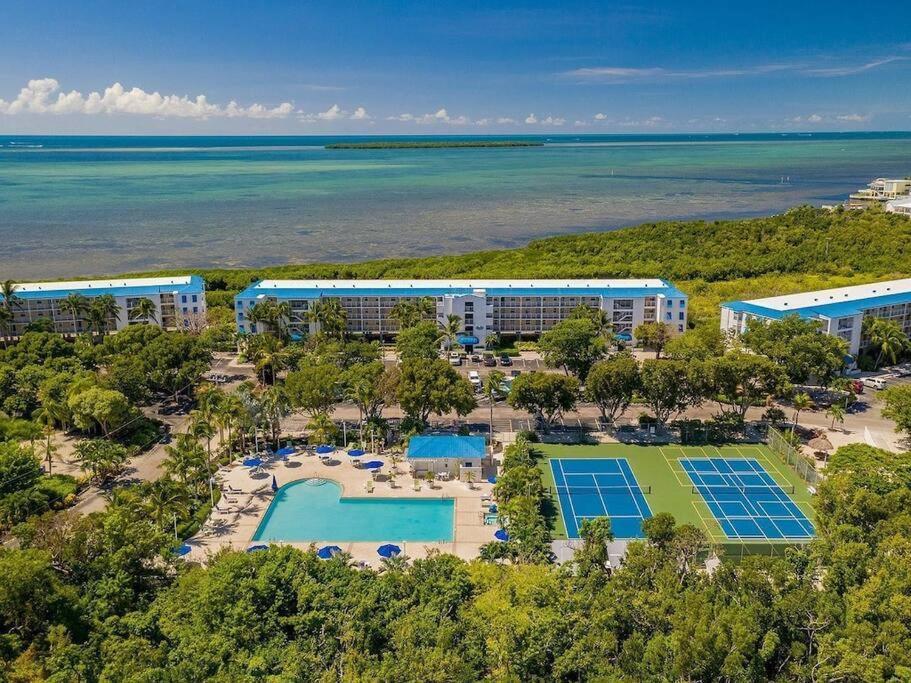 Welcome To The Pelican Lodge ! Tavernier Екстер'єр фото